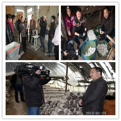 CCTV中央电视台科技苑栏目来我校拍摄采访，《让蘑菇多收刺激》节目将在春节后播出，敬请期待。了解学校新动态请加微信：980774950