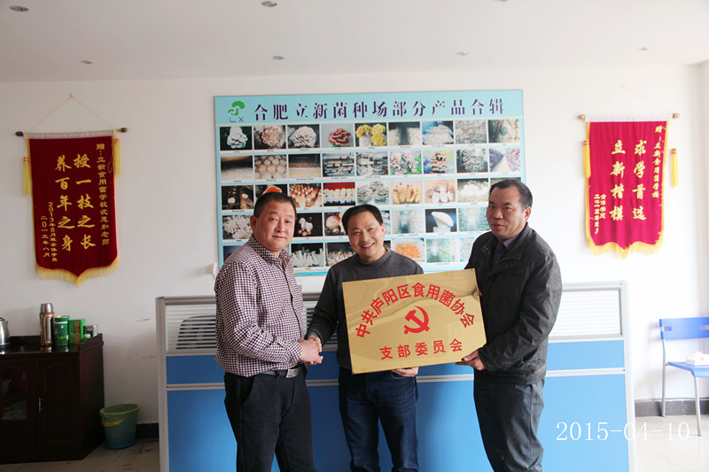 热烈庆祝2015年4月11日合肥市庐阳区食用菌协会成立党支部沈思和会长荣升党支部书记