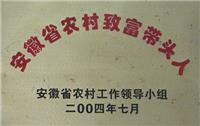 安徽省农村致富带头人