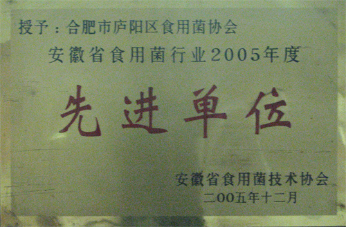安徽省食用菌行业先进单位(2005)