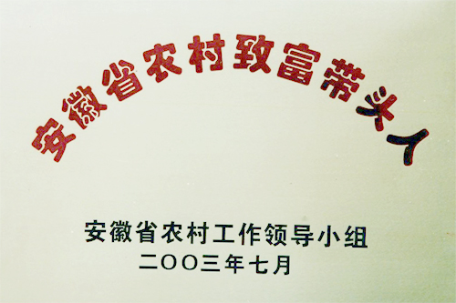 合肥市农村致富带头人称号(2003)