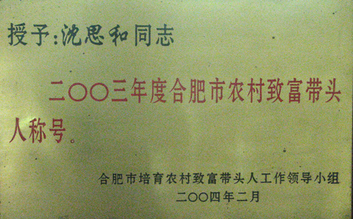 合肥市农村致富带头人称号