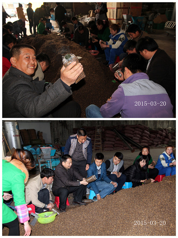 2015年3月20日合肥庐阳区食用菌协会学员在合肥立新菌种场培训学校现场实习食用菌菌种制作技术—— 制作二级原种和三级栽培种培养基