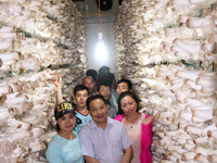 2015年5月30日合肥市庐阳区食用菌协会会员在合肥立新食用菌培训学校金针菇工厂化种植培训基地