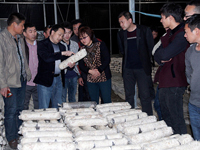 2015年4月12日合肥庐阳区食用菌协会学员在合肥立新菌种场培训学校老学员的香菇种植培训基地参观学习