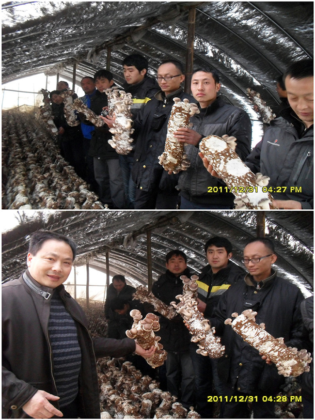 2012年4月下旬合肥立新菌种场培训学校部分学员在合肥立新菌种场培训学校香菇种植技术培训基地