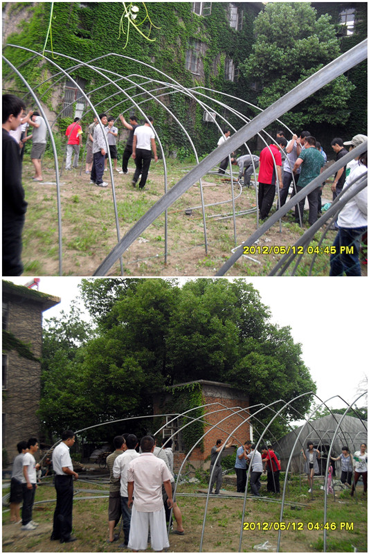 2012年5月中旬合肥立新菌种场培训学校学员在合肥立新食用菌生产基地现场实习食用菌栽培技术——食用菌生产大棚搭建