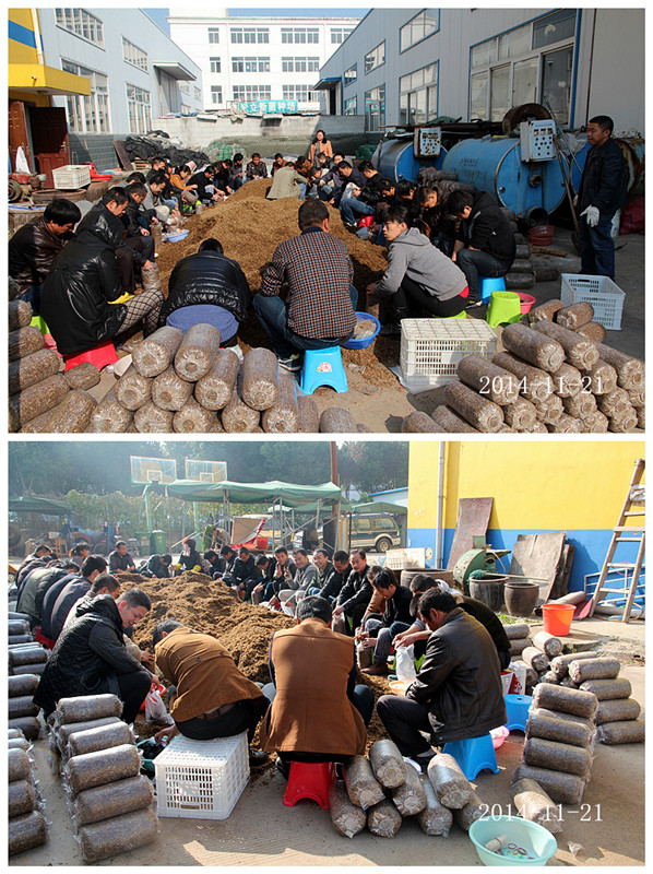 2014年11月21日合肥庐阳区食用菌协会学员在合肥立新菌种场培训基地实践食用菌栽培技术——食用菌生产制袋