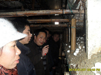 2013年元月上合肥市庐阳区食用菌协会学员在合肥立新菌种场蘑菇种植培训基地现场