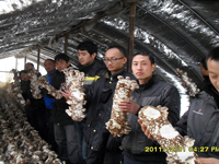 2012年4月下旬合肥立新菌种场培训学校部分学员在合肥立新菌种场培训学校香菇种植技术培训基地