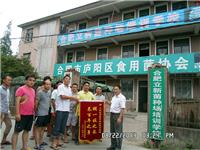 2013年8月合肥市庐阳区食用菌协会...