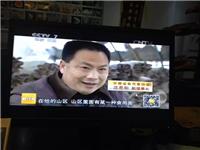 合肥市庐阳区食用菌协会沈思和会长接受...