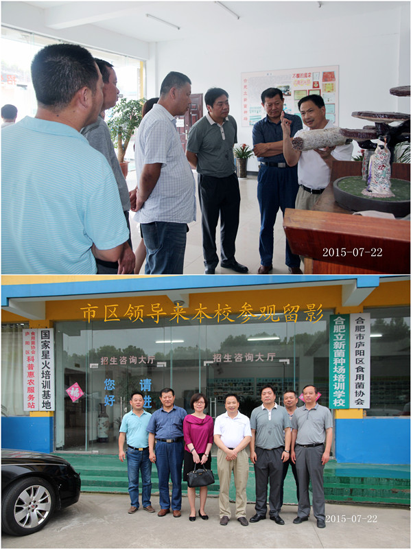 2015年7月22日合肥市市级、区级农业部门相关领导莅临我协会参观指导