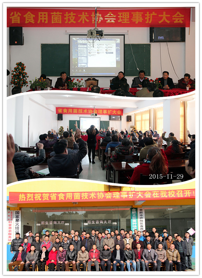 2015年11月29日安徽省食用菌技术协会理事扩大会会议在合肥市庐阳区食用菌协会胜利召开