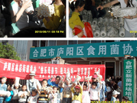2013年5月11日合肥晚报、江淮晨...