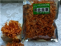 合肥立新食用菌培训基地——北虫草干品