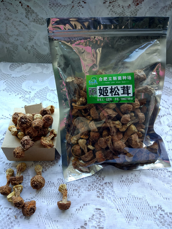 合肥立新食用菌培训基地——姬松茸干品