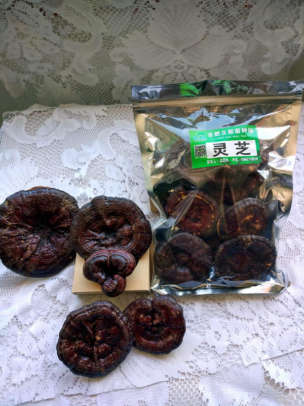 合肥立新食用菌培训基地——灵芝干品