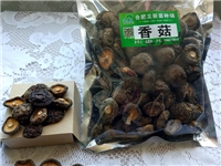 合肥立新食用菌培训基地——香菇干品