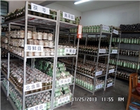 合肥立新食用菌——菌种1