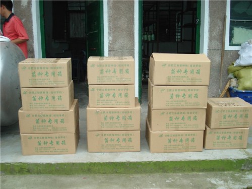 食用菌——菌种，菌需物品发货专用箱