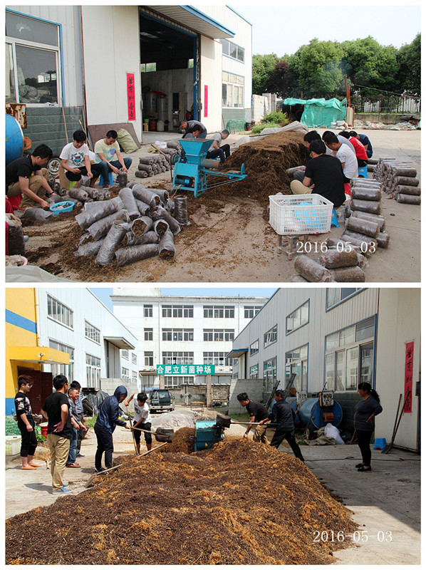 合肥立新食用菌培训基地学员实践食用菌栽培技术