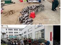 合肥市庐阳区食用菌协会学员实习食用菌栽培技术1