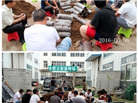 合肥市庐阳区食用菌协会学员实习食用菌栽培生产制袋
