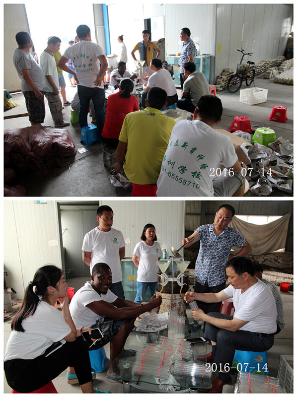 合肥立新食用菌培训基地学员实习液体菌种制作2