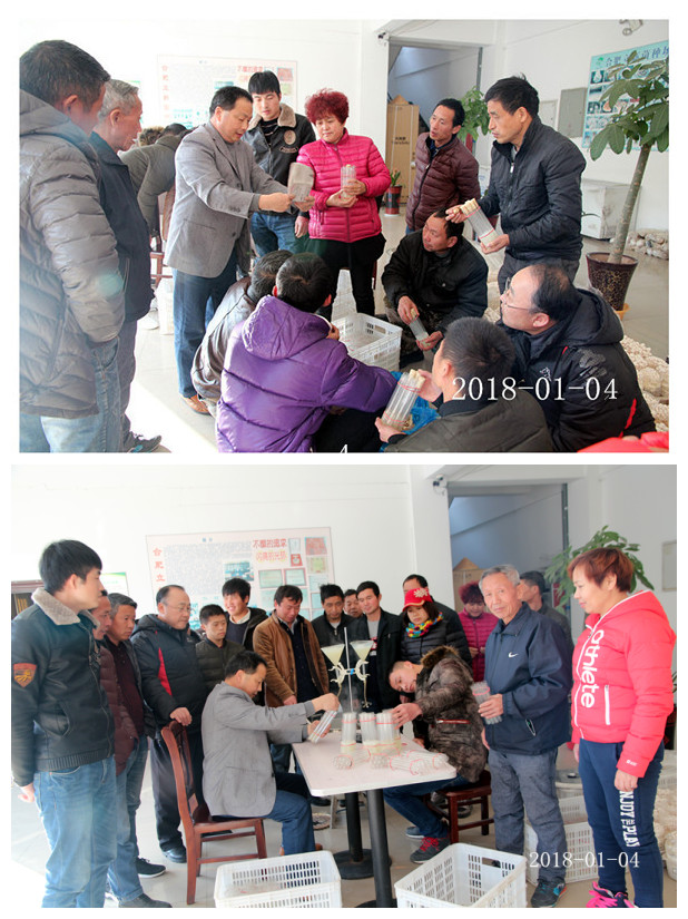 合肥立新食用菌培训基地学员实习液体菌种制作