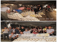 合肥立新菌种场培训学校学员在平菇、秀珍菇、榆黄菇、红平菇种植培训基地采摘