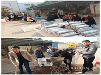 合肥立新食用菌培训基地学员实习香菇、木耳、灵芝、猴头菇、灰树花等栽培技术生产制袋