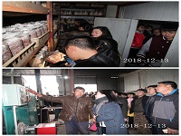 合肥立新菌种场培训学校学员在食用菌工厂化种植培训基地